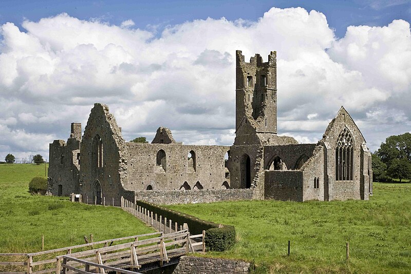 File:Kilmallock Abbey Friary Stephen Power.jpg