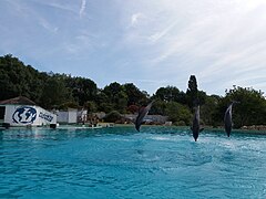 Planete Sauvage 20180608 013.jpg