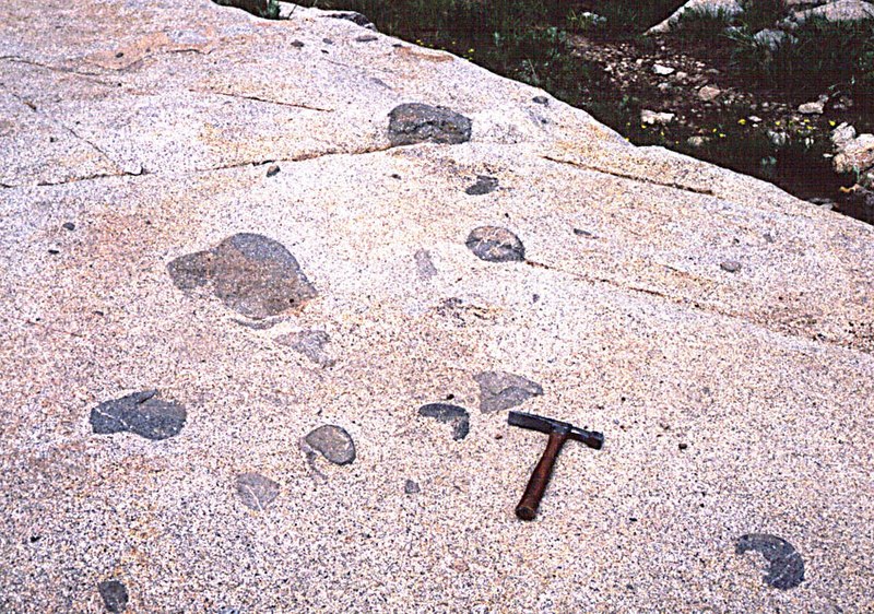 File:Xenoliths Little Cottonwood Canyon.JPG