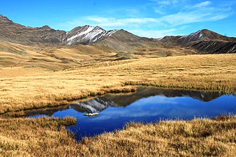 Lagodekhi protected areas. Photograph: Giorgimailo