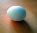 an egg