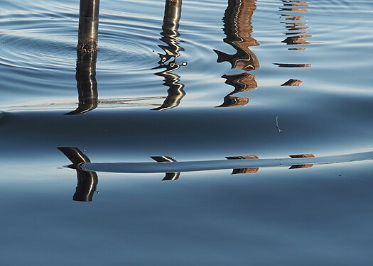 Two forms of wave propagation are created by water movement due to ducks or ships and current obstacles at Kiel Fjord, Baltic Sea