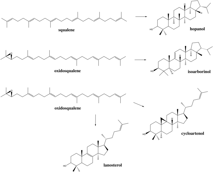 File:Biomarker synthesis comparison.png