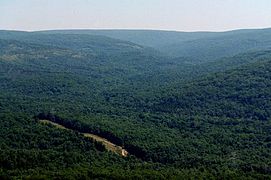 Taum Sauk Mountain, highest in Missouri