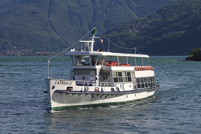 File:7 MN Capriolo Brissago 050519.jpg