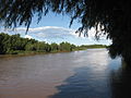 Arroyo tributario del rio Paraná