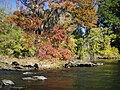 * Nomination Fall Colors on the Coosa River near Wetumpka, Alabama, by Mike Cline 25 February 2008 (UTC)- * Decline  Oppose noisy, out of focus, color aberrations, a "bit" overexposed - LadyofHats 12:31, 5 March 2008 (UTC)