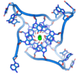 Telomere