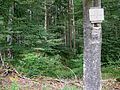 Schanze aus dem Französischen Erbfolgekrieg im Wald in der Nähe der Burgruine Kallenberg, Gemeinde Buchheim, Landkreis Tuttlingen