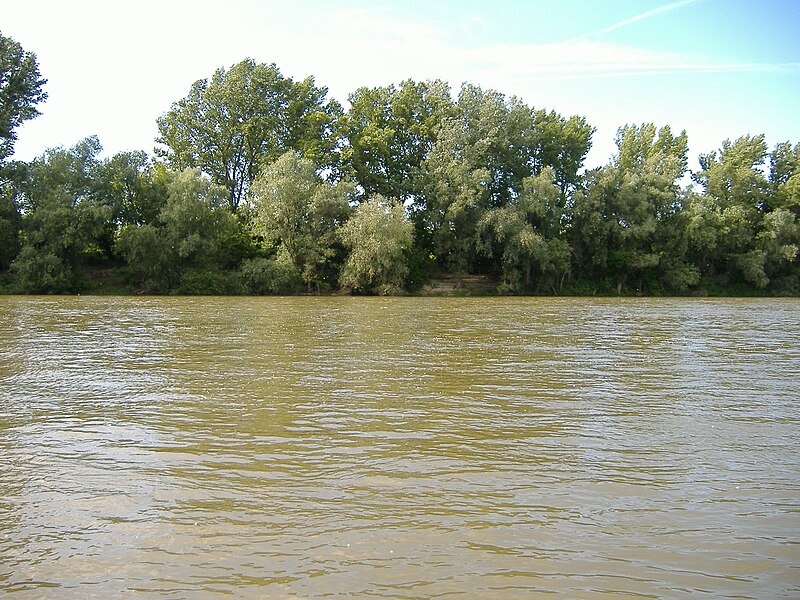 File:Tiszapüspöki, Tisza 090.jpg