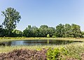 * Nomination Hortus Haren. Arme food lake. --Famberhorst 04:45, 29 June 2018 (UTC) * Promotion Good quality --Llez 05:12, 29 June 2018 (UTC)