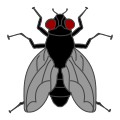 Fly heraldic 1.svg