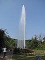 Der Geysir Andernach ist der höchste Kaltwassergeysir weltweit