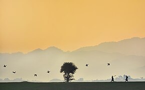 Tanguar haor, Bangladesh 01