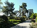 Deutsch: Gewächshäuser im Botanischen Garten Bochum. English: Greenhouses in the Bochum botanical garden.