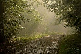 Beskid Mały Mountains (PL)