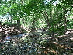 Tacony Creek Park