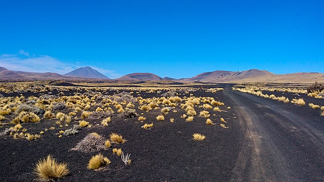 La Payunia Provincial Reserve, Mendoza Province, Argentina