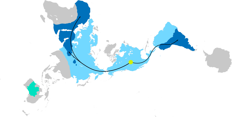 File:Global Camelid Distribution and Migration.svg