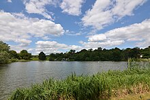 Men's Pond from South.jpg