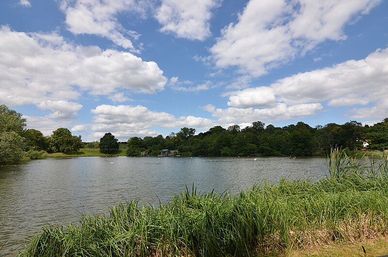 File:Men's Pond from South.jpg