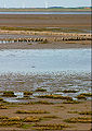 The Wadden See at Rømø, Denmark