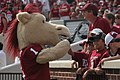 Boomer or Sooner, the mascot