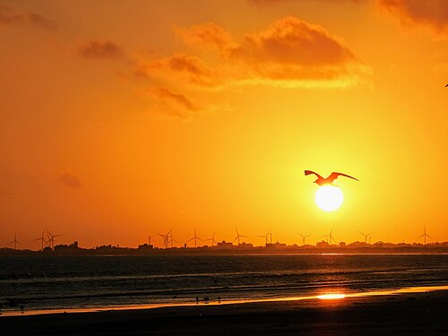 Magia ao por do sol dourado