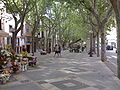 Rambla de las flores, Palma.