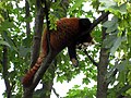 Tiergarten Schönbrunn