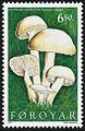 FR 305: Moyggjar-vakshattur (Hygrocybe virginiae).