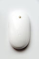 Apple Mighty Mouse from a top-down view.