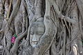 "Ayutthaya_135.JPG" by User:CYPHE