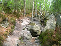 Forest of Fontainebleau