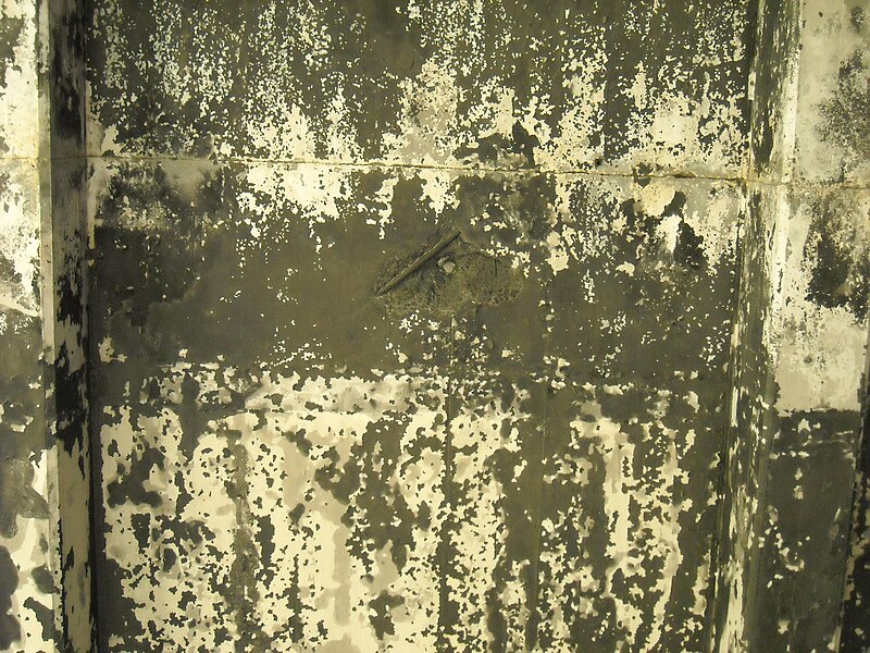 File:Grunge texture.jpg