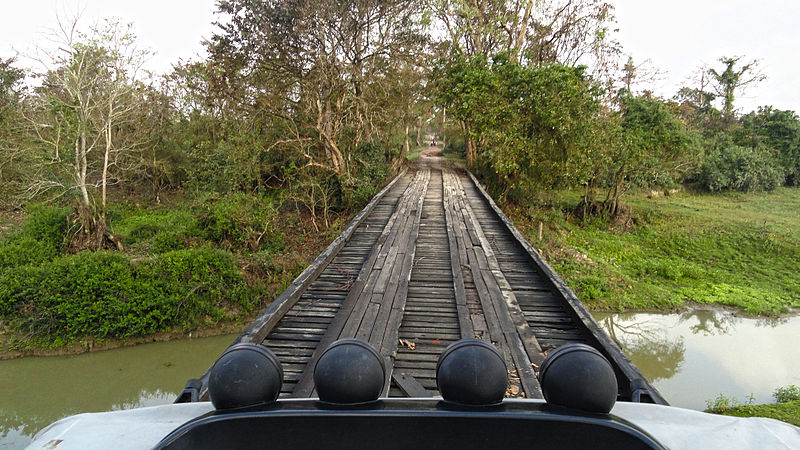 File:Wooden bridge at kaziranga.jpg