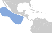 Puffinus auricularis map.svg