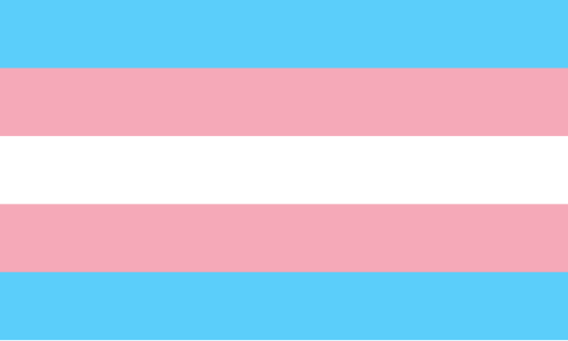 File:Transgender Pride flag.svg