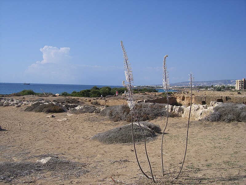 File:2009 0929 10 Paphos (4236911935).jpg