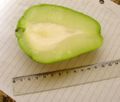 Chayote (Half)