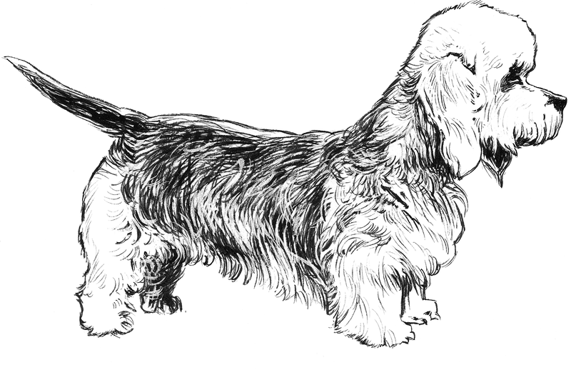 File:Terrier 2 (PSF).png