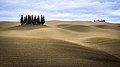 Typical landscape of the Val d'Orcia