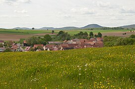 Mulhausen prairie.jpg