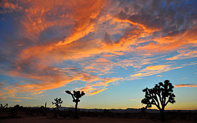 Mojave Twilight