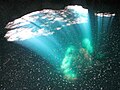 Photo from a platform inside a Cenote