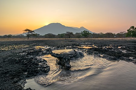 Mount Baluran