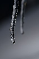 Icicle