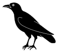 Crow with stark white lines.svg