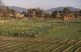 Rural Kathmandu valley