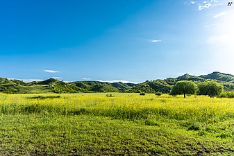 Vashlovani National park. Photograph: Anri137